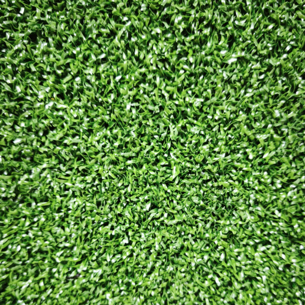 Pasto Rizado Padel Verde